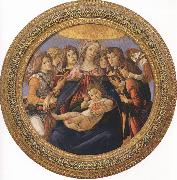 Sandro Botticelli Madonna and Child with six Angels or Madonna of the Pomegranate (mk36) China oil painting reproduction